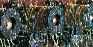 > </div>
<div class=